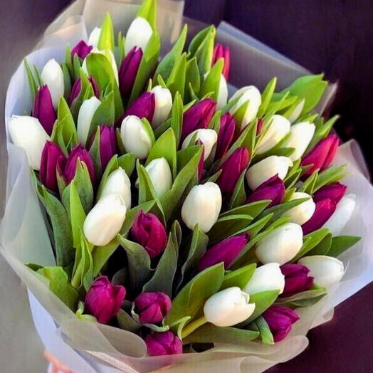 Purple White Tulip Bouquet - 51 stems