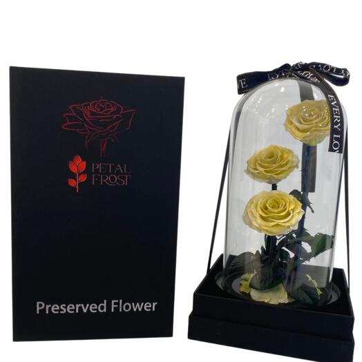 Preserved 3 Yellow Roses