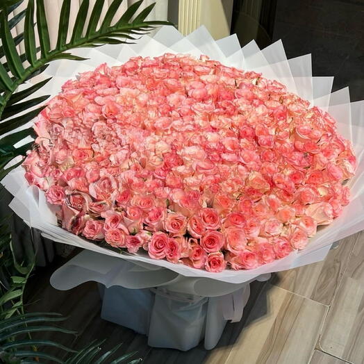 Premium 101 Roses Roses Fraîches Boutique de Luxe