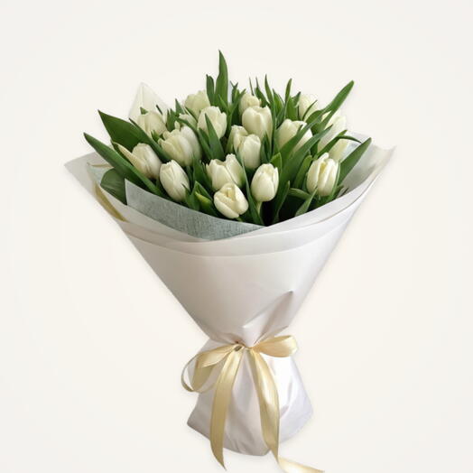 Premium white tulipblue