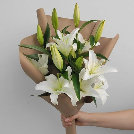 Чистая элегантность лилии