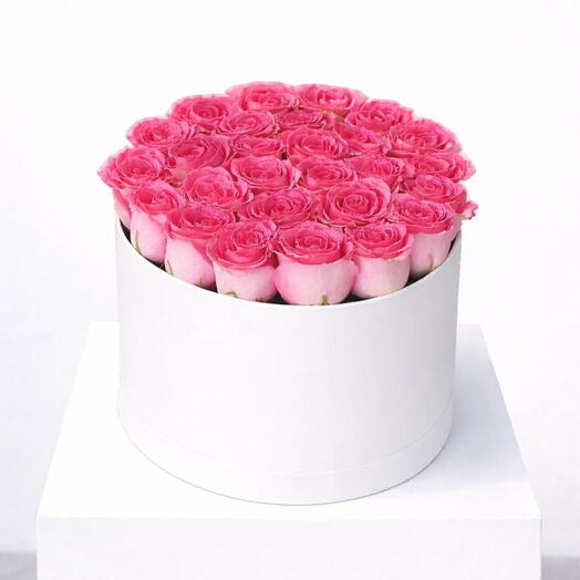 25 roses rose pur