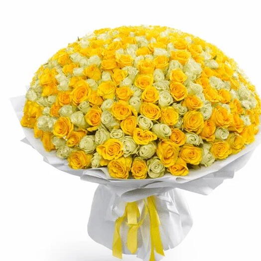 501 white and yellow roses bouquet