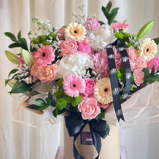 ورود في صندوق 8