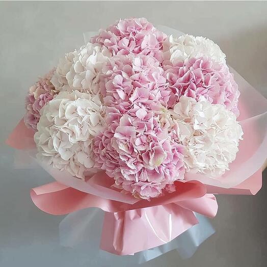 HORTENSIA BLANC   HORTENSIA ROSE BOUQUET