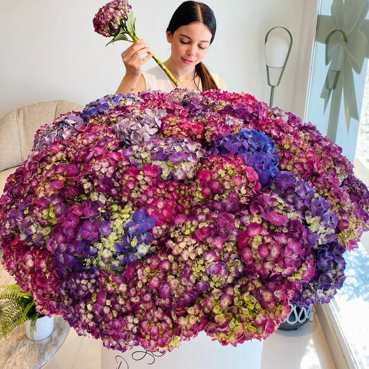 65 premium hydrangeas box arrangement