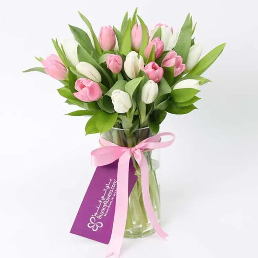 Calm and Beauty 21 Tulip