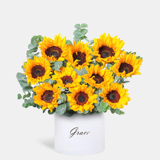 زهرة دوار الشمس في صندوق كبير