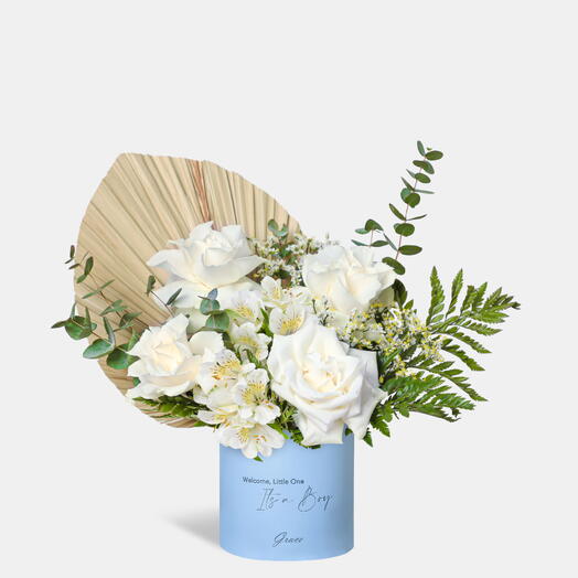 Bebé Varón Pequeño Blanco Reverencia