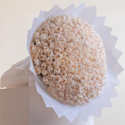 151 Cloud of Roses _ Luxury White Rose Bouquet