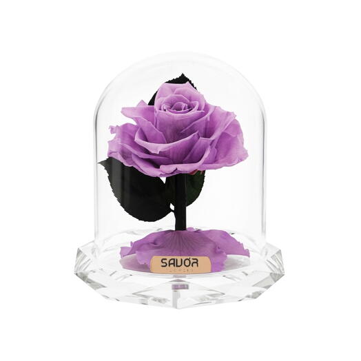 Infinity Crystal Mini - Lavender