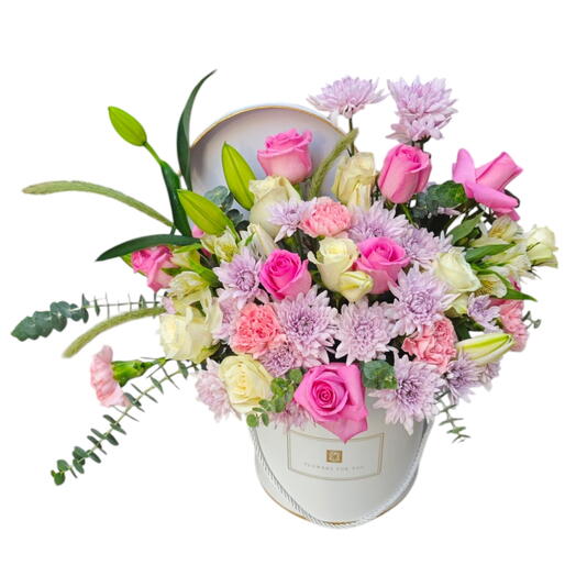 ورود في صندوق