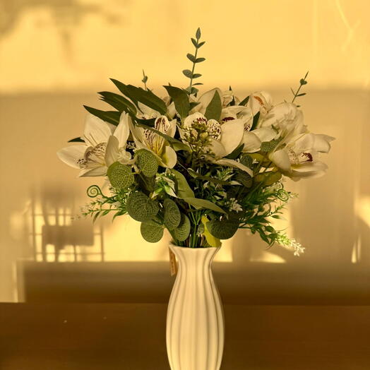 استوديو بتال