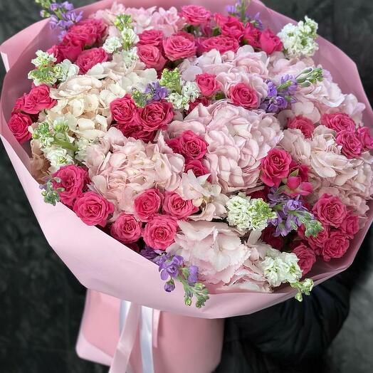 ГОРТЕНЗИЯ МАТТИОЛА БУКЕТ