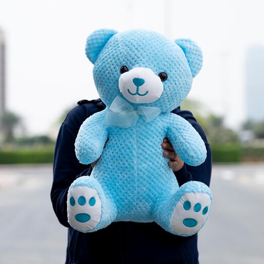 Blue Teddy Bear -2913