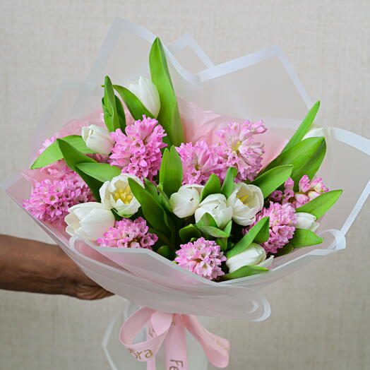 Hyacinthus Tulips Delight (Pink,White Compo)-1662
