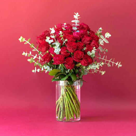 Эвкалиптовый поцелуй