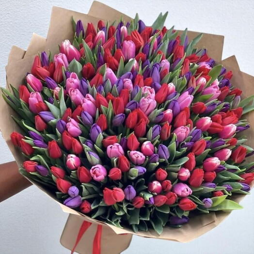 201 tulipes ( rouges , violettes , roses )