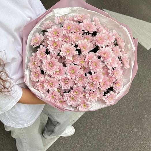 أقحوانات وردية  (11 صورة)