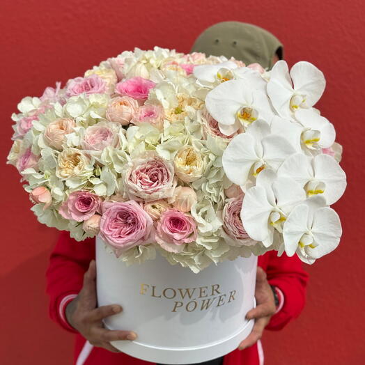 White Orchid Bloom Box