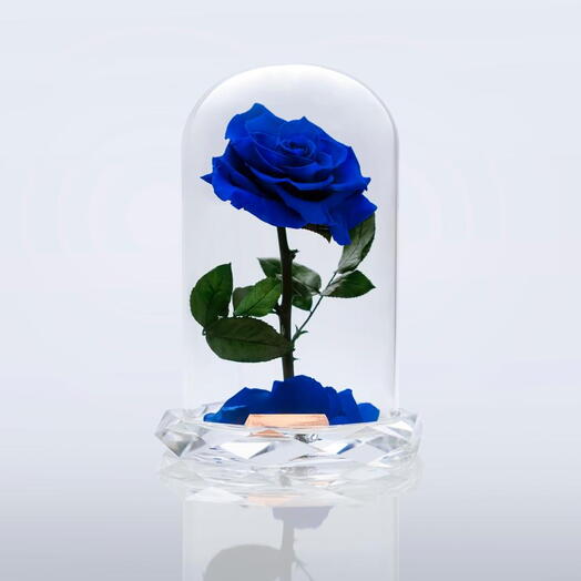 Caja con rosa violeta eterna