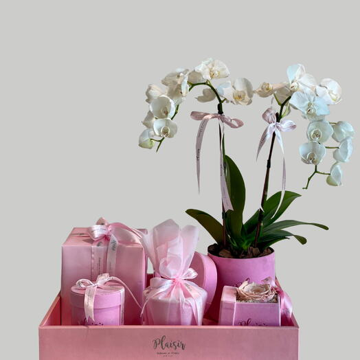 Роскошный серый подарочный поднос - мини-орхидеи, духи, стабилизированные розы, свечи, поднос с шоколадом