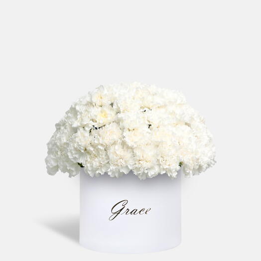 Белая гвоздика в экстра-большой коробке