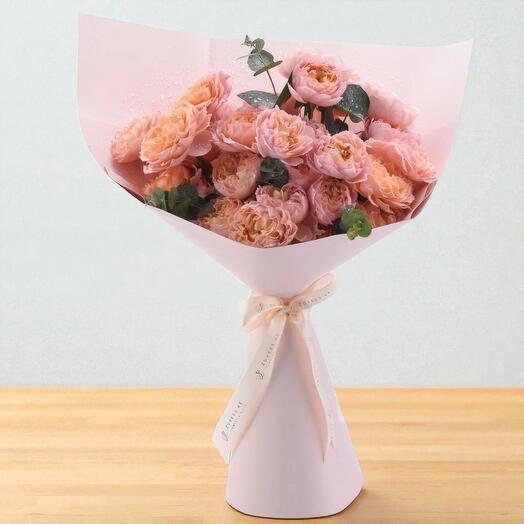 Румяная грация