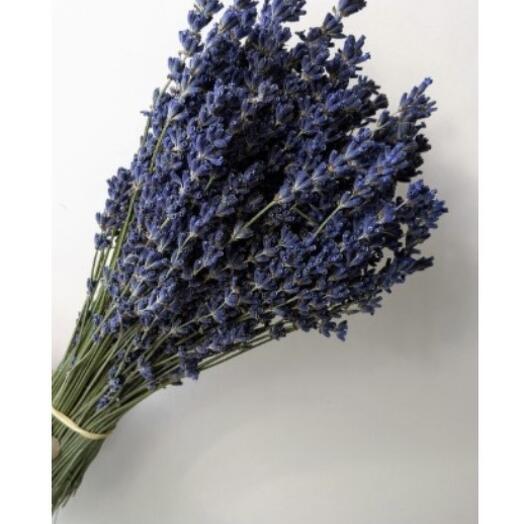Dry Lavandar