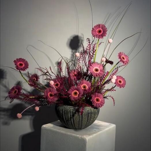 Ромашковые мечты