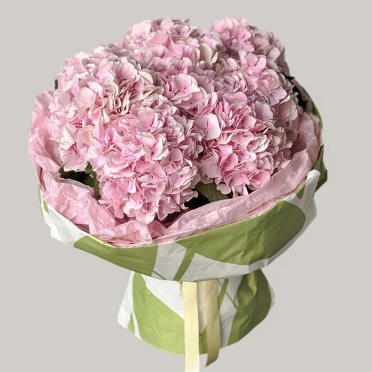 Pink hydrangeas (10 pcs)