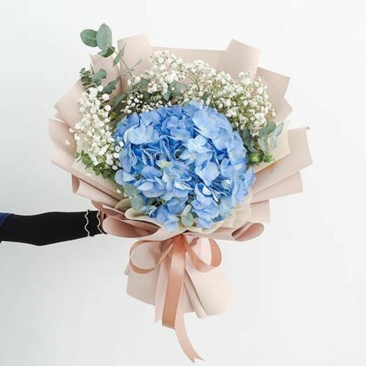 El romance de Hydrengea