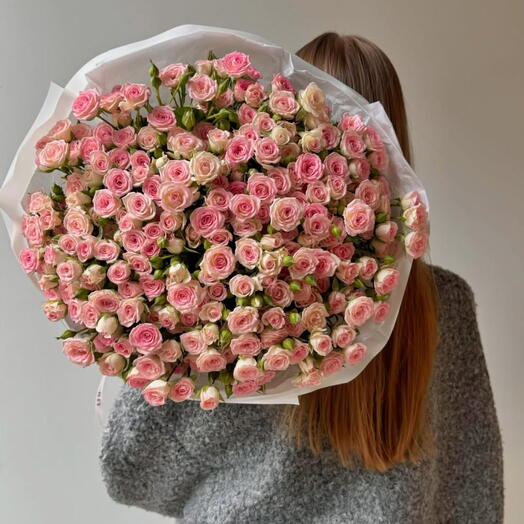 Love is in the Air- blush pink spray rose