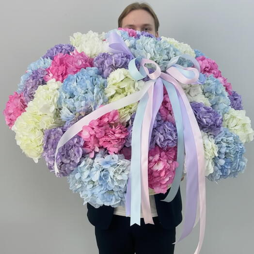 45 Mix Premium Hydrangea Basket