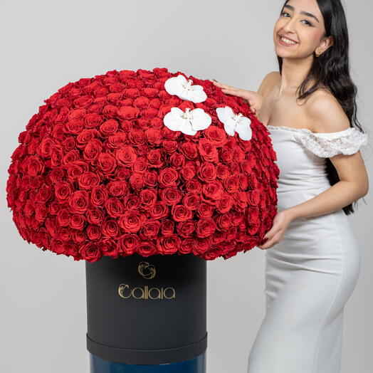 Алая корона с 3 цветками орхидей