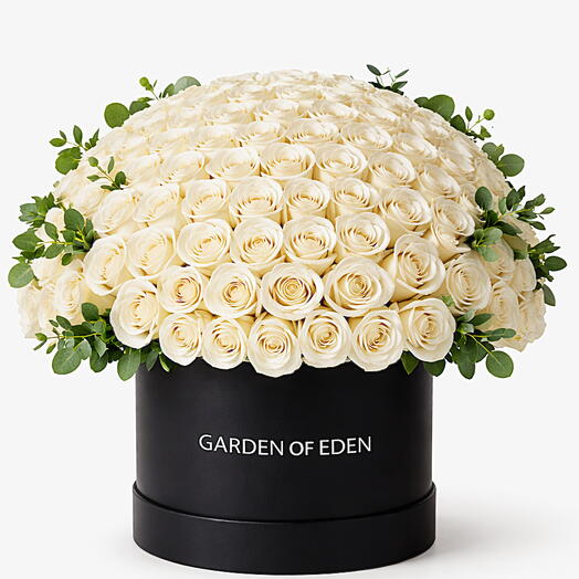 First Love Forever Bloom 101