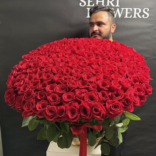 200 Premium Red Roses Basket