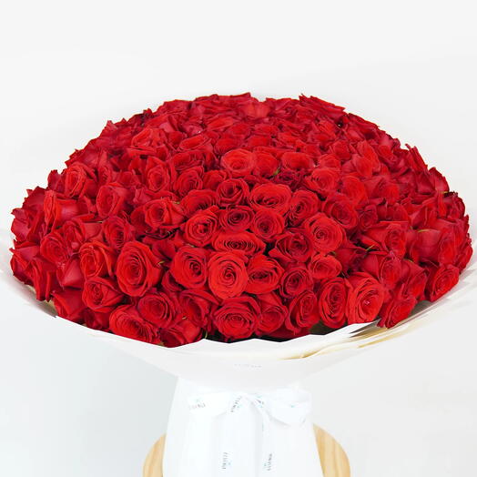 Red Roses Dominion Bouquet