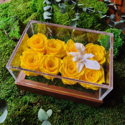 Yellow Infinity Ocho