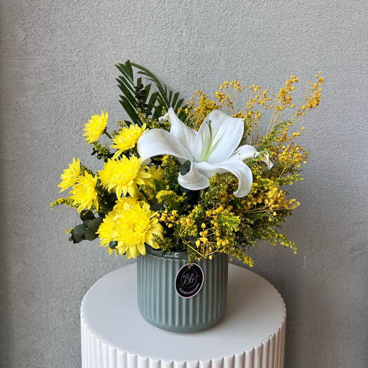 Lirios del atardecer