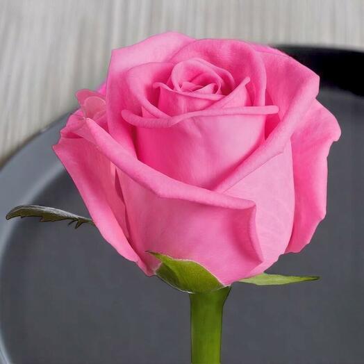 وردة وردية ساحرة لكل ساق – ارتفاع 35 سم
