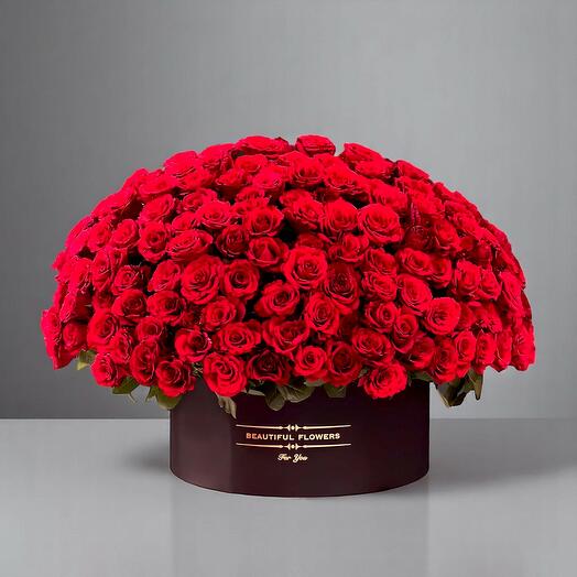 Вечная алая симфония