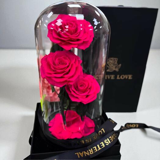 Preserved fuschia rose