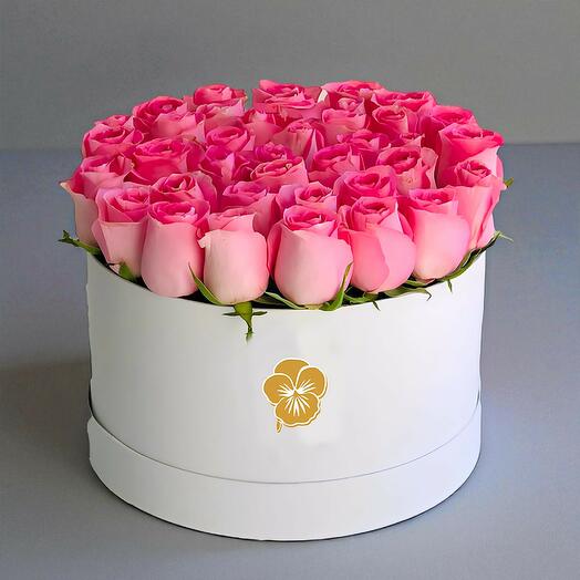 Pink roses in white floral box