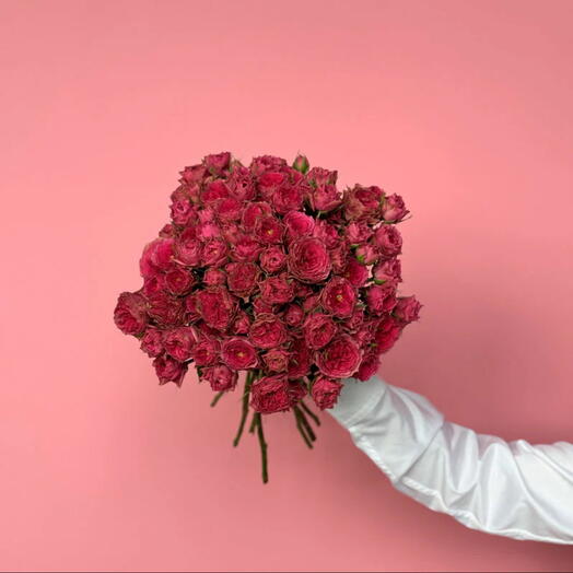 Essence: Medium Bouquet of 50 Deep Pink Garden Spray Roses
