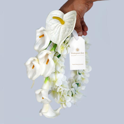 Белый Антуриум Орхидея 1