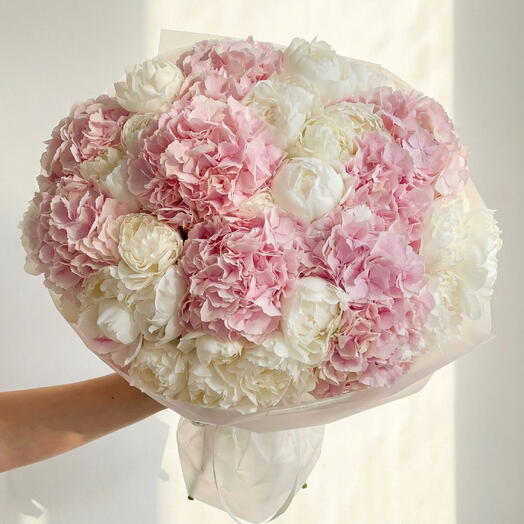 فاوانيا طازجة بألوان الباستيل