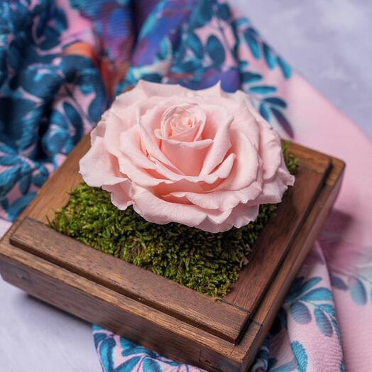 Одинарная Розовая Бесконечность