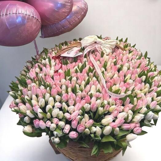 Mix tulips basket (501pic)