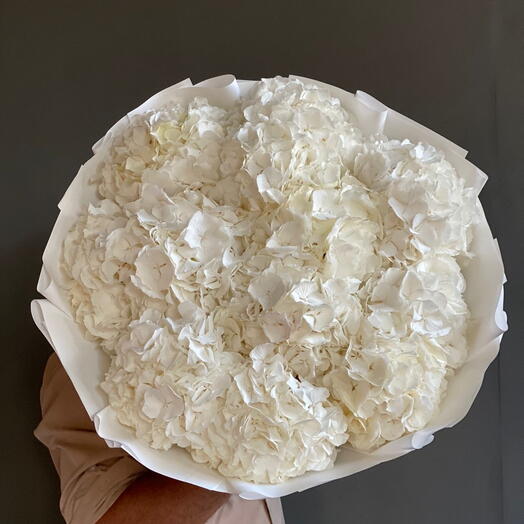 Bouquet of white hydrangeas for her